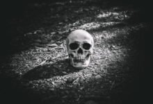 reaper scans