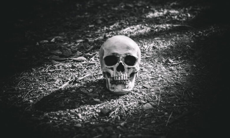 reaper scans